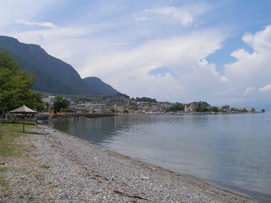 Anastasia - Efthimios Apartments Agios Konstantinos  Exteriör bild