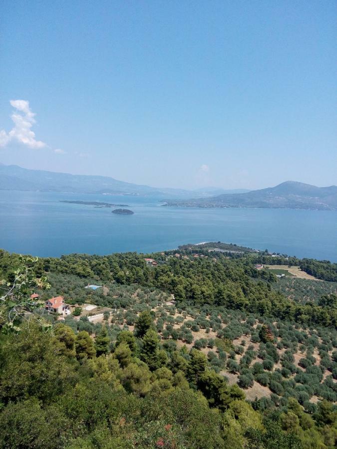 Anastasia - Efthimios Apartments Agios Konstantinos  Exteriör bild